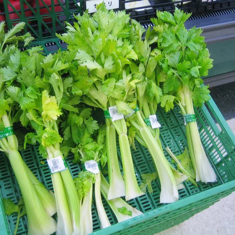 Celery Seed