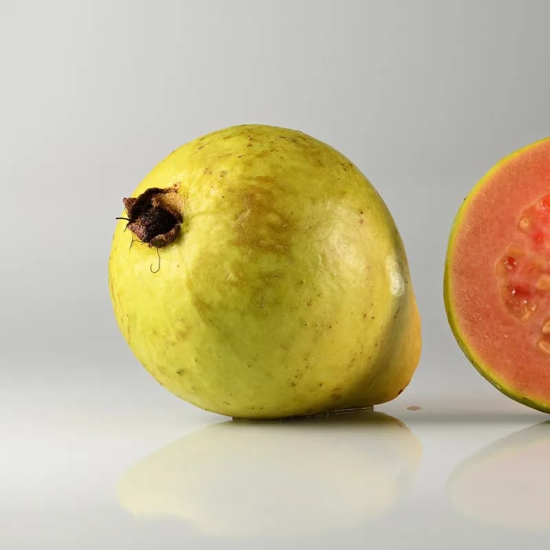 Guava Leaf