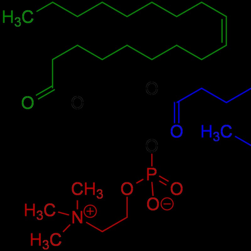 Lecithin
