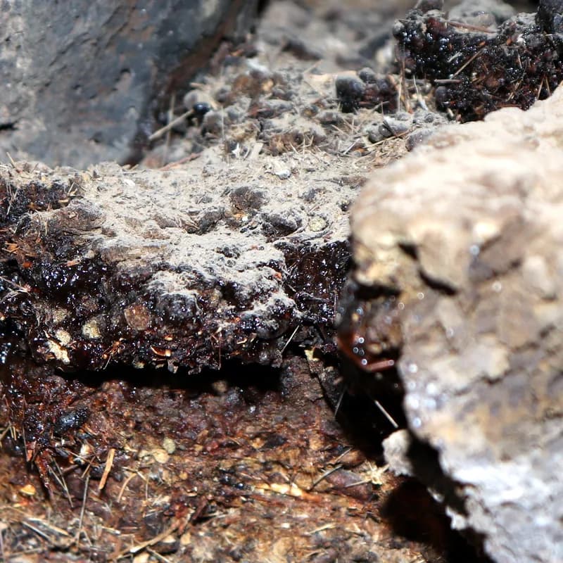 Shilajit