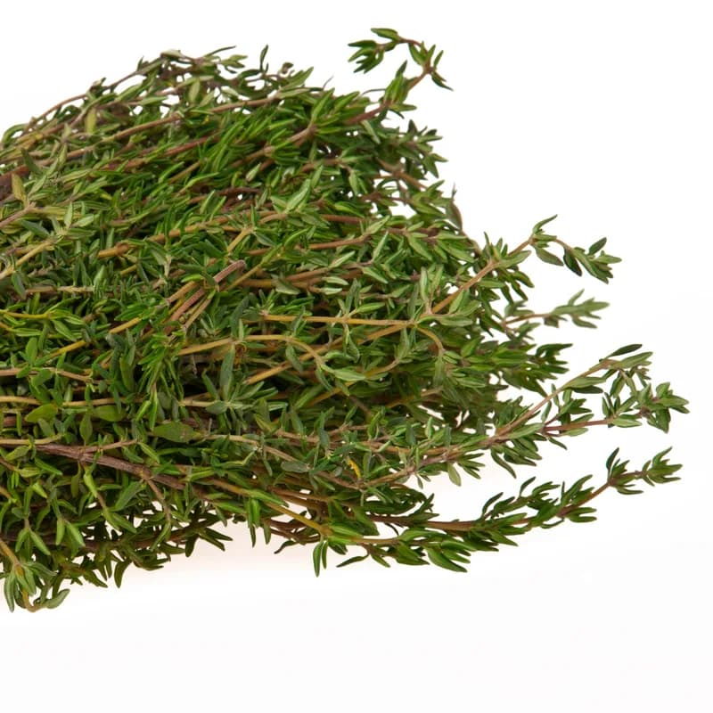 Thyme Leaf